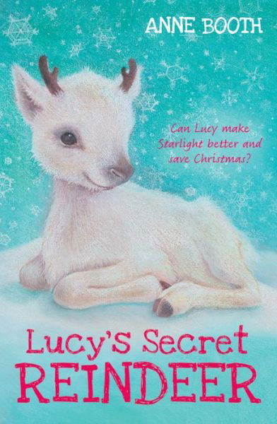 Cover for Booth, Anne (, Kent, UK) · Lucy's Secret Reindeer (Paperback Book) (2014)