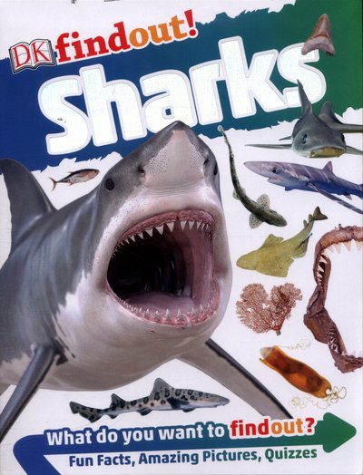 Cover for Dk · DKfindout! Sharks - DKfindout! (Paperback Book) (2017)