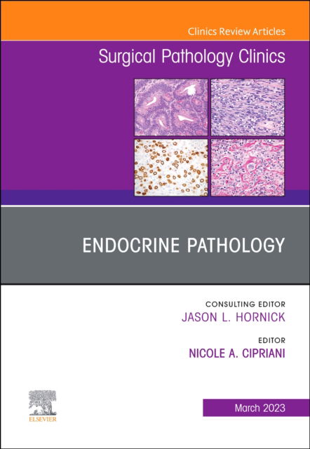Cover for Md Cipriani Nicole A. · Endocrine Pathology, An Issue of Surgical Pathology Clinics - The Clinics: Surgery (Hardcover Book) (2023)