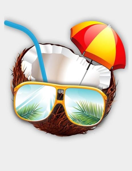 Sunglasses Coconut Umbrella - Summer Called - Książki - Independently Published - 9781076414731 - 26 czerwca 2019