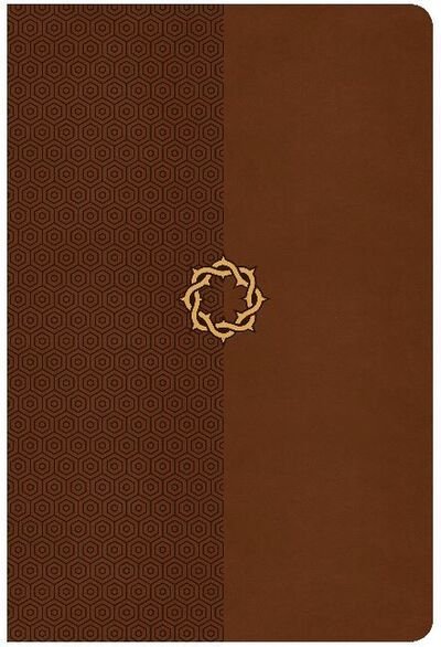 Cover for CSB Bibles by Holman CSB Bibles by Holman · CSB Essential Teen Study Bible, Walnut LeatherTouch (Læderbog) (2017)