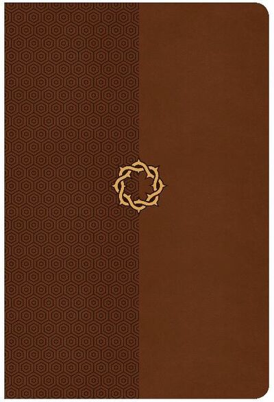 Cover for CSB Bibles by Holman CSB Bibles by Holman · CSB Essential Teen Study Bible, Walnut LeatherTouch (Læderbog) (2017)