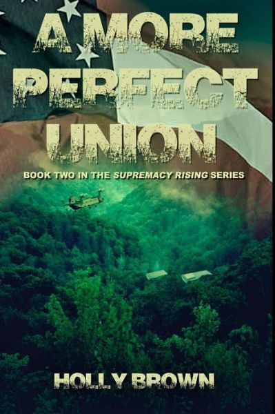 Cover for Holly Brown · A More Perfect Union (Paperback Book) (2014)