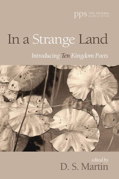 In a Strange Land - D. S. Martin - Books - Wipf & Stock Publishers - 9781532677731 - September 19, 2019