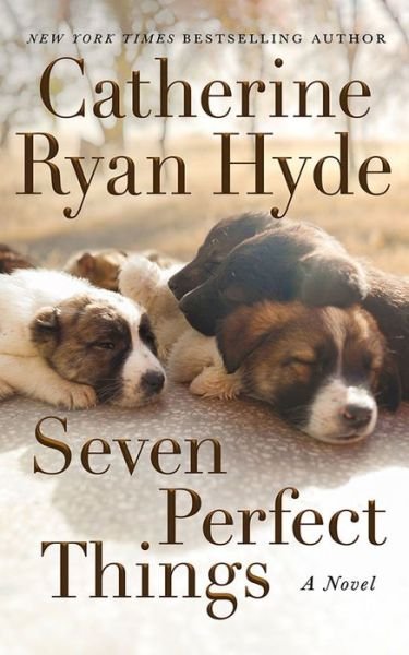 Cover for Catherine Ryan Hyde · Seven Perfect Things: A Novel (Gebundenes Buch) (2021)