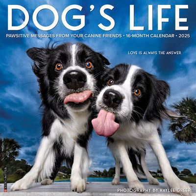 Dog's Life 2025 12 X 12 Wall Calendar -  - Fanituote - Willow Creek Press Calendars - 9781549242731 - tiistai 10. syyskuuta 2024