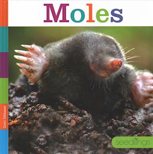 Cover for Lori Dittmer · Moles (Hardcover Book) (2018)