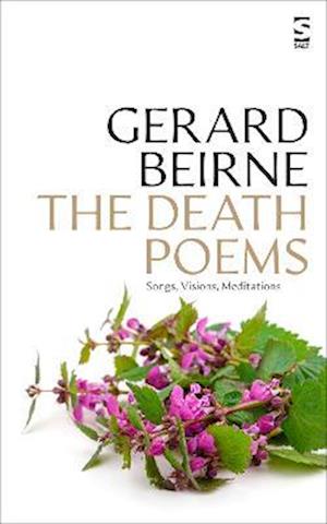 Cover for Mr Gerard Beirne · The Death Poems: Songs, Visions, Meditations - Salt Modern Poets (Paperback Book) (2023)