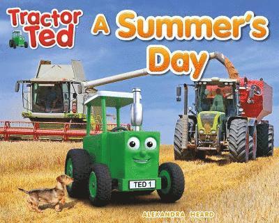 Cover for Alexandra Heard · Tractor Ted A Summer's Day - Tractor Ted Seasons (Paperback Book) (2021)