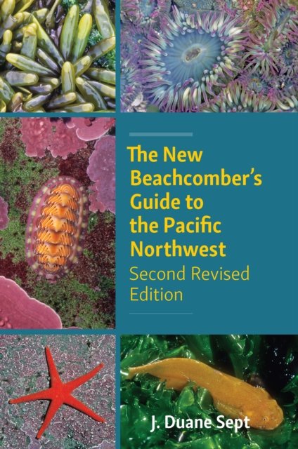 Cover for J. Duane Sept · The New Beachcomber's Guide to the Pacific Northwest: Second Revised Edition (Paperback Book) [2 New edition] (2024)