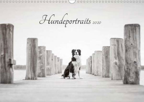 Cover for Pohle · Hundeportraits 2020 (Wandkalender (Bog)