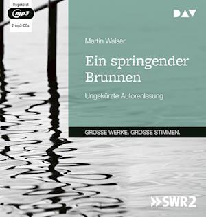 Ein springender Brunnen - Martin Walser - Muzyka - Der Audio Verlag - 9783742427731 - 