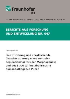 Cover for Lindemann · Identifizierung und vergleich (Bog)