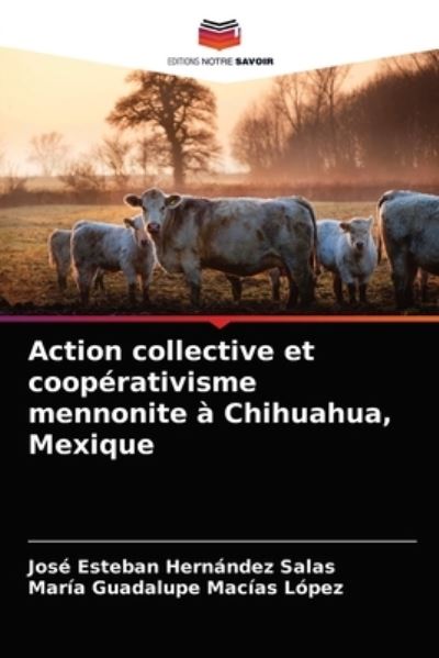 Cover for Jose Esteban Hernandez Salas · Action collective et cooperativisme mennonite a Chihuahua, Mexique (Paperback Book) (2021)