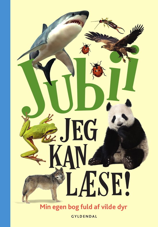 Cover for Peter Bering; Birgitte Bering; Troels Gollander · Jubii, jeg kan læse! Min egen bog fuld af vilde dyr (Inbunden Bok) [1:a utgåva] (2025)