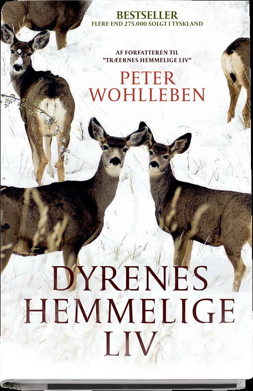 Cover for Peter Wohlleben · Dyrenes hemmelige liv (Bound Book) [1st edition] (2017)