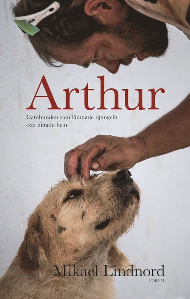 Cover for Val Hudson Mikael Lindnord · Arthur : gatuhunden som lämnade djungeln och hittade hem (Hardcover Book) (2016)