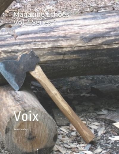Cover for Aboubacar Glenn Diallo · Magazine Echoes vol. 2 series 2: Voix (Paperback Bog) (2021)