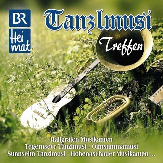 Cover for Br Heimat Diverse Interpreten · Br Heimat-tanzlmusi Treffen (CD) (2020)