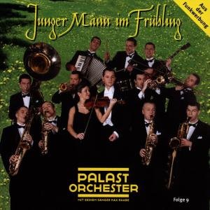 Cover for Raabe,max &amp; Palast Orchester · Junger Mann Im Frühling (CD) (2004)
