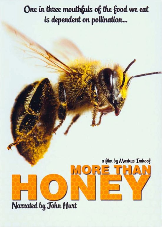 Cover for More Than Honey (DVD) (2013)