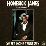 Sweet Home Tennessee - Homesick James & Hypnotic - Muzyka - APPALOOSA - 8012786000732 - 12 grudnia 2019