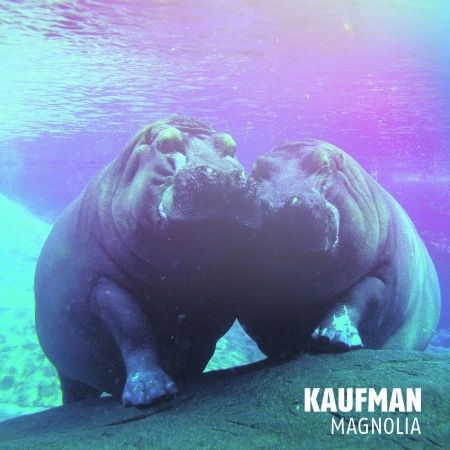 Cover for Kaufman · Magnolia (CD)