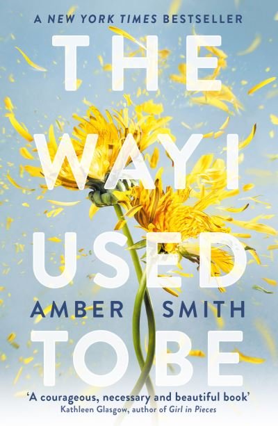 Cover for Amber Smith · The Way I Used to Be: The TikTok sensation - The Way I Used to Be (Paperback Bog) (2023)