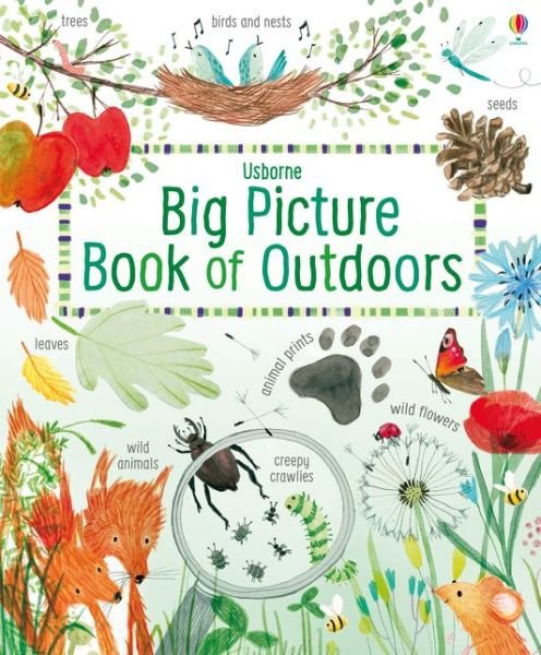 Cover for Minna Lacey · Big Picture Book Outdoors - Big Picture Books (Gebundenes Buch) [UK edition] (2017)