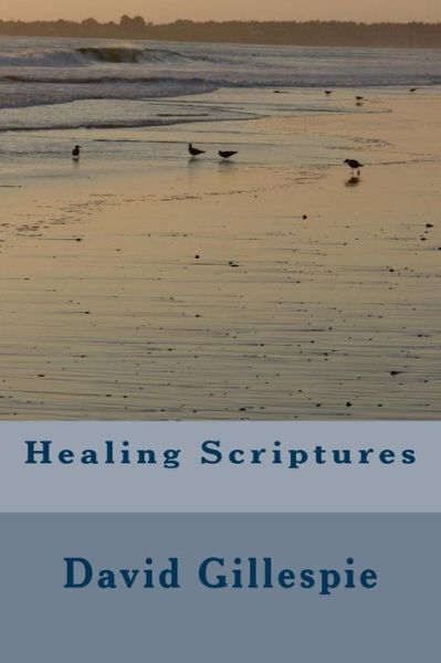 Cover for Mr David M Gillespie · Healing Scriptures (Paperback Bog) (2014)