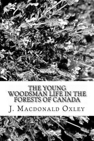 Cover for J MacDonald Oxley · The Young Woodsman Life in the Forests of Canada (Paperback Book) (2016)