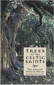 Trees of the Celtic Saints ? The Ancient Yews of Wales - Andrew Morton - Bøker - Gwasg Carreg Gwalch - 9781845271732 - 21. mars 2014
