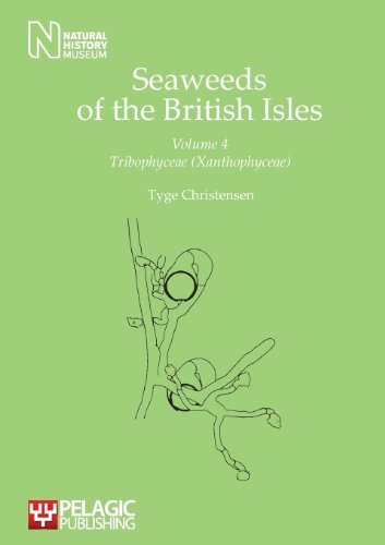 Cover for Tyge Christensen · Seaweeds of the British Isles Volume 4 Tribophyceae (Xanthophyceae) (Taschenbuch) (2013)