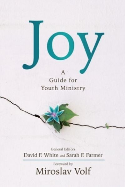 Cover for David F White · Joy: A Guide for Youth Ministry (Paperback Book) (2020)