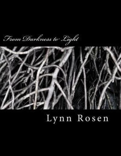 Cover for Lynn Rosen · From Darkness to Light (Paperback Book) (2018)