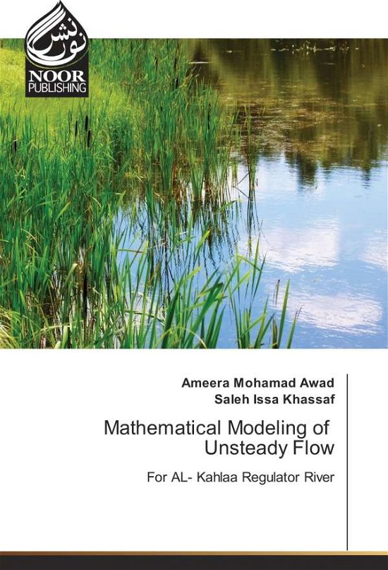 Cover for Awad · Mathematical Modeling of Unsteady (Bog)