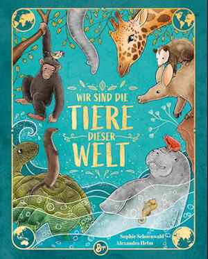Cover for Sophie Schoenwald · Wir sind die Tiere dieser Welt - Das große Tier-Lexikon der Gemeinsamkeiten und Unterschiede (Buch) (2023)