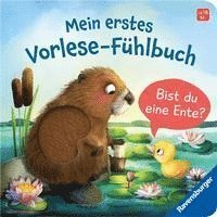 Cover for Kathrin Lena Orso · Mein erstes Vorlese-Fühlbuch: Bist du eine Ente? (Toys)