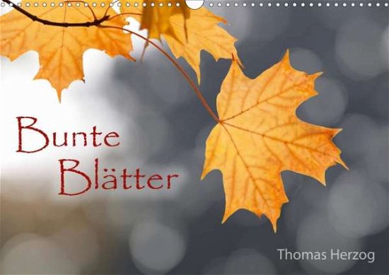 Cover for Herzog · Bunte Blätter (Wandkalender 2020 (Book)
