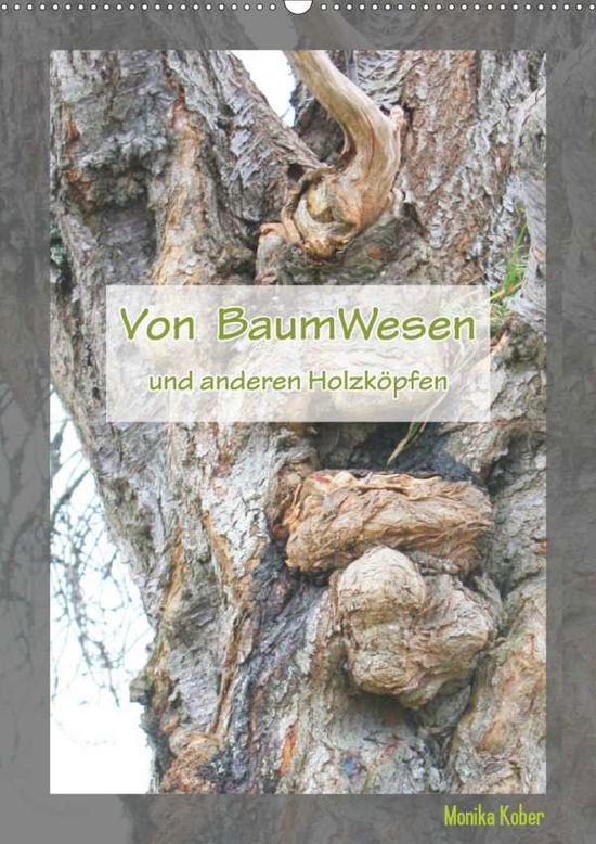 Cover for Kober · Von BaumWesen und anderen Holzköp (Book)