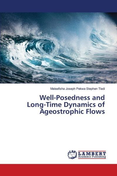 Well-Posedness and Long-Time Dyna - Tladi - Books -  - 9786202679732 - July 13, 2020