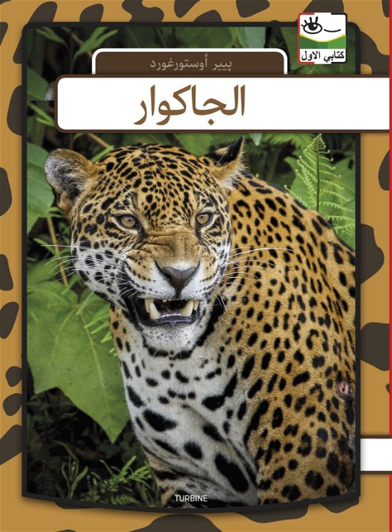Cover for Per Østergaard · Min første bog - arabisk: Jaguar - arabisk (Hardcover Book) [1e uitgave] (2019)