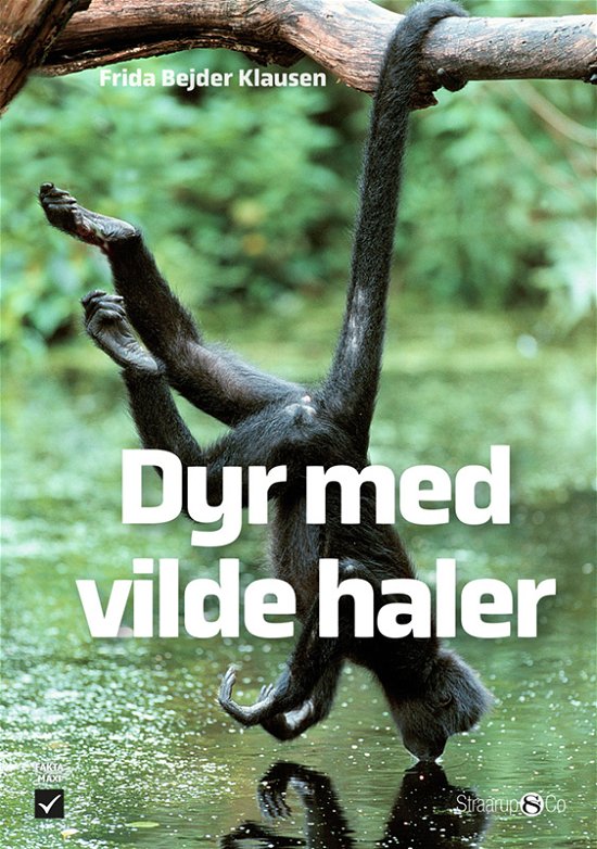 Maxi: Dyr med vilde haler - Frida Bejder Klausen - Bøger - Straarup & Co - 9788775926732 - 15. maj 2024