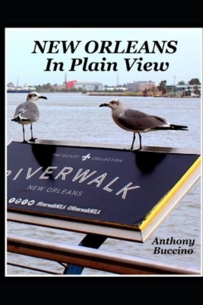 Cover for Anthony Buccino · New Orleans In Plain View (Paperback Book) (2020)