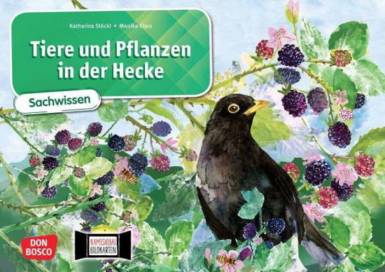 Cover for Katharina Stöckl-Bauer · Tiere und Pflanzen in der Heck (Zabawki)