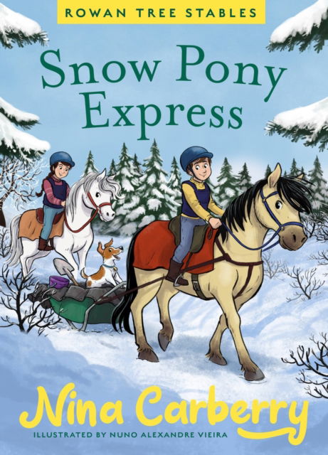 Nina Carberry · Rowan Tree Stables 3 - Snow Pony Express (Hardcover Book) (2024)