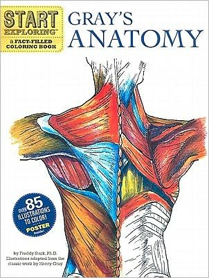 Cover for Freddy Stark · Start Exploring: Gray's Anatomy: A Fact-Filled Coloring Book (Paperback Bog) (2011)
