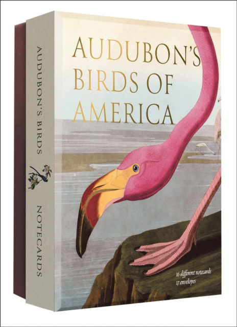 Cover for Editors of Abbeville Press · Audubon's Birds of America: An Abbeville Notecard Set (Flashcards) (2025)