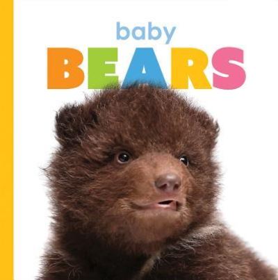 Cover for Kate Riggs · Baby Bears (Hardcover Book) (2019)