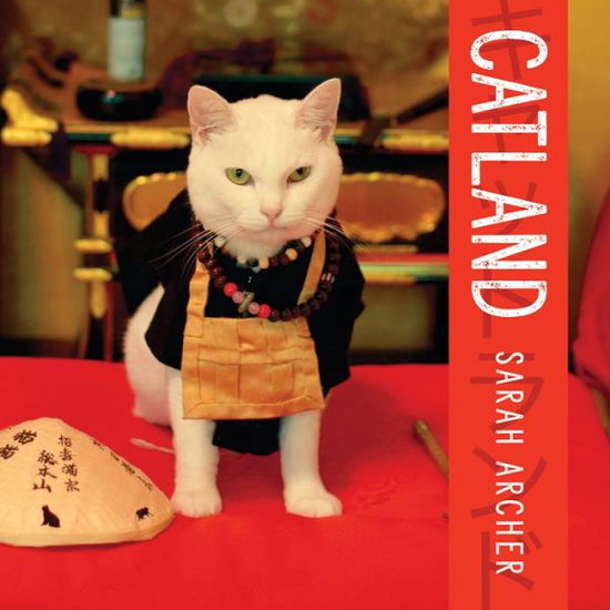 Cover for Sarah Archer · Catland: The Soft Power of Cat Culture in Japan (Hardcover Book) (2020)